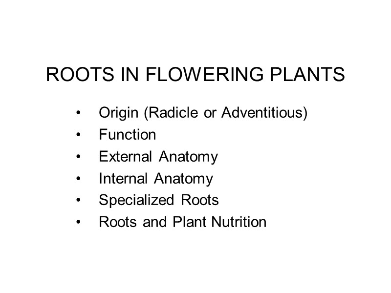 ROOTS IN FLOWERING PLANTS Origin (Radicle or Adventitious) Function External Anatomy Internal Anatomy Specialized